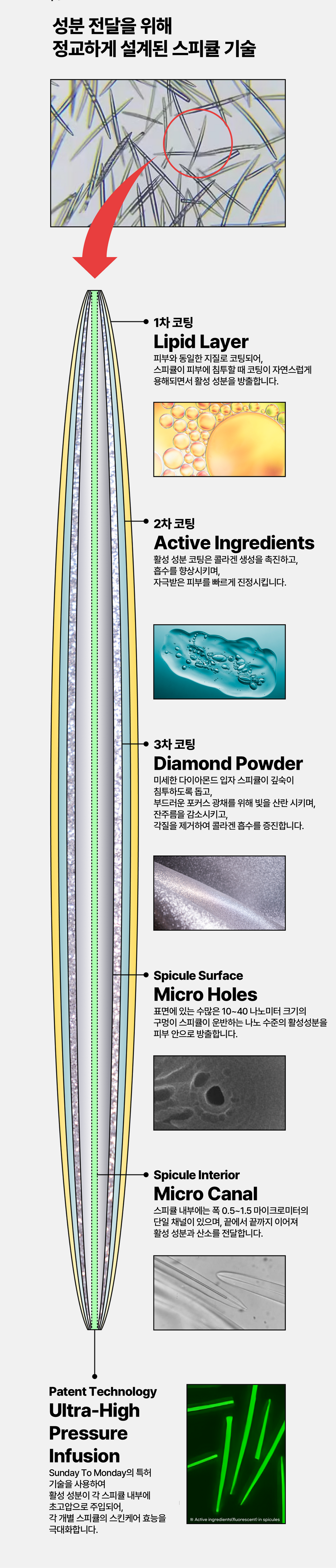 썬데이 투 먼데이 다이아몬드 스피큘  5,000 Shot