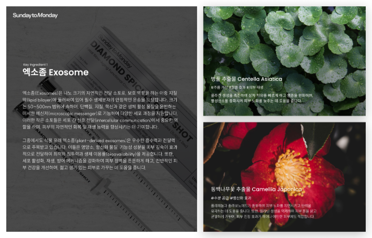 썬데이 투 먼데이 다이아몬드 스피큘  5,000 Shot